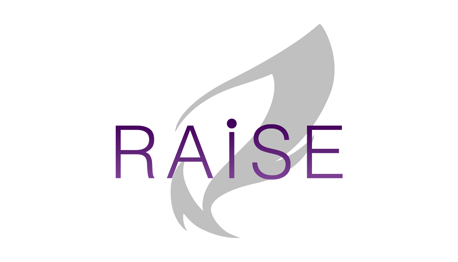 RAISE株式会社